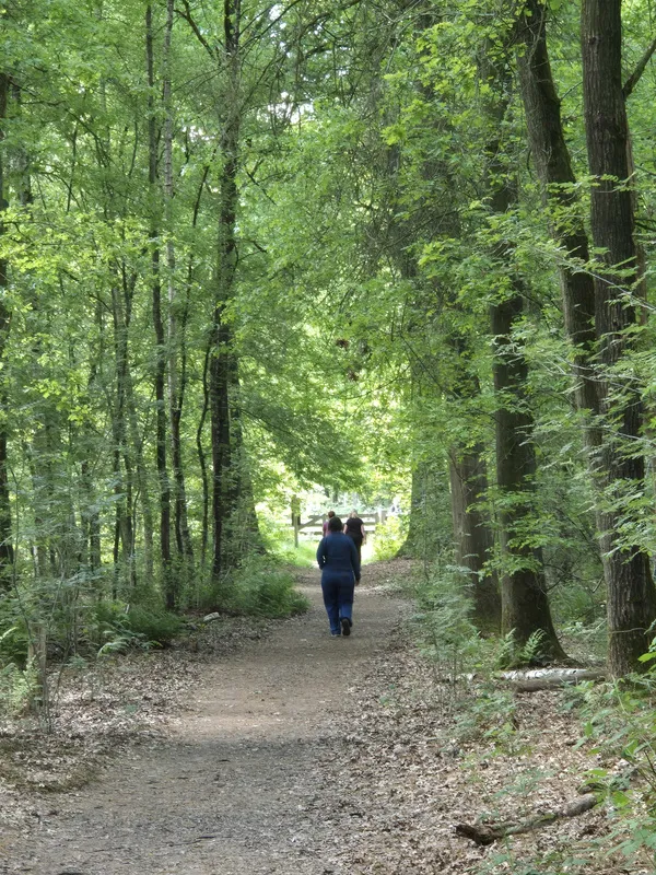 Vrouw die in het bos loopt met een rugzak op de rug